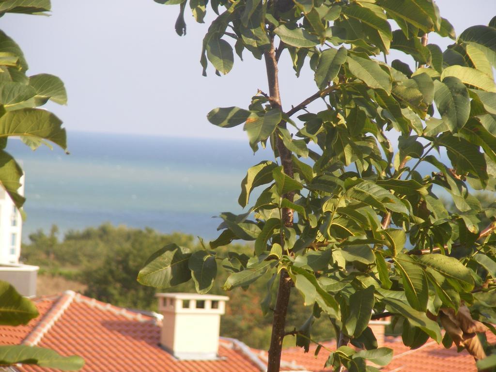 Guest House "Zora - Sarafovo" 布尔加斯 外观 照片